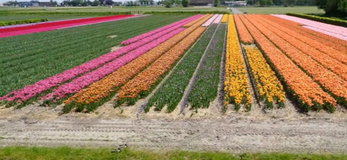 Fotomast für Landschaftsfotografie