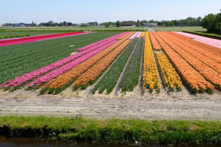 Fotomast für Landschaftsfotografie