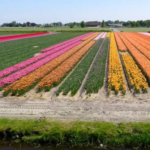 Fotomast für Landschaftsfotografie